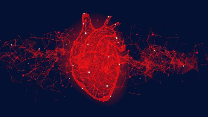 ReachMD Healthcare Image