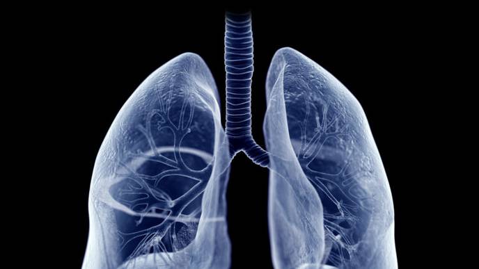 Deaths From the Most Common Lung Cancer are Falling Fast