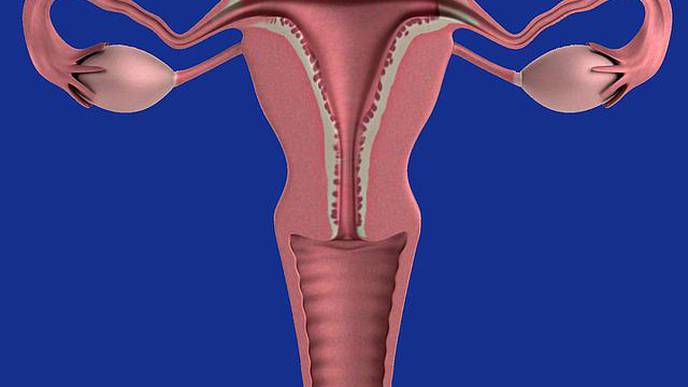 Women with Recurrent UTIs Voice 'Fear & Frustration' Over Treatment Options