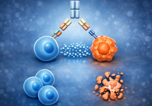Advancing Bispecific Antibodies Upstream in the Treatment Paradigm of Multiple Myeloma