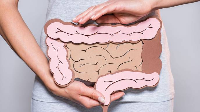 Fecal Transplants Could Be Used to Restore Cognitive Function in the Elderly