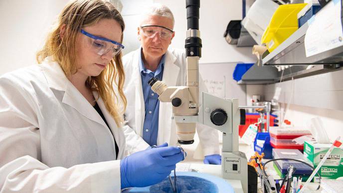 Blueprint for a Reproductive Hormone May Aid Infertility
