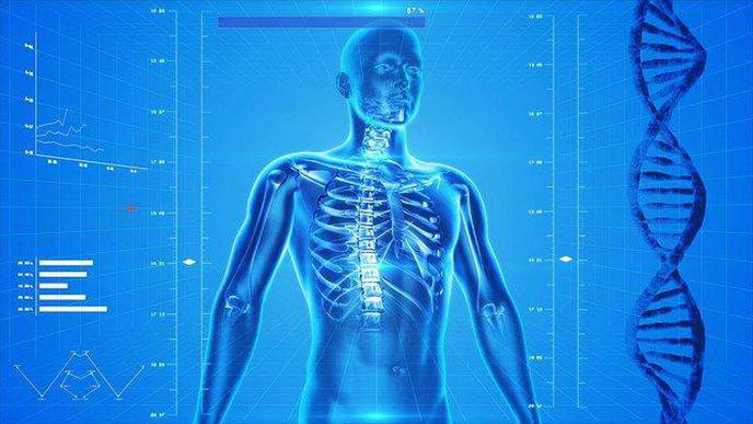 Researchers Use Precision Medicine Strategy to Identify a New Genetic Skeletal Disorder