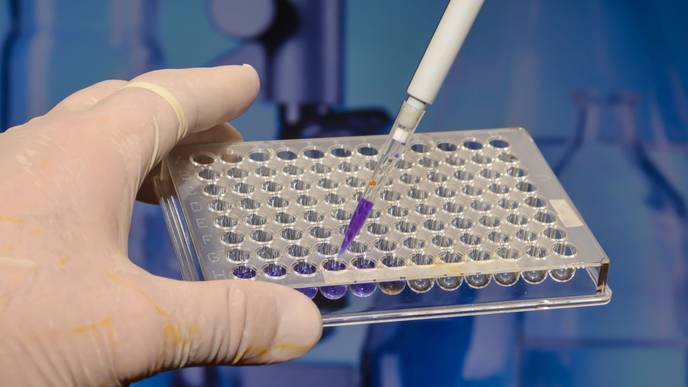 ReachMD Healthcare Image