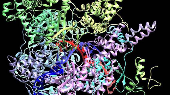 Gut Microbiome Manipulation Could Result from Virus Discovery