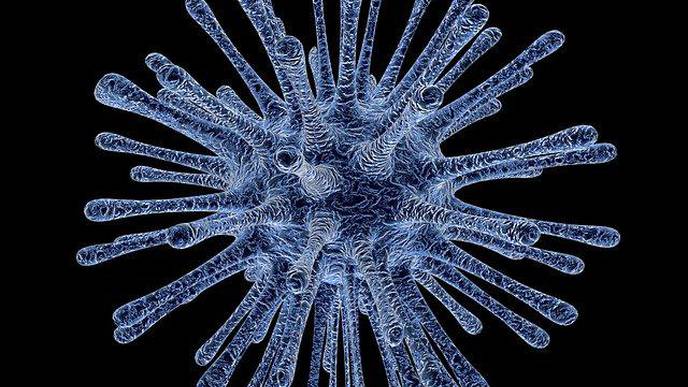 MS Drug May Be Used to Inhibit HIV Infection & Reduce Latent Reservoir