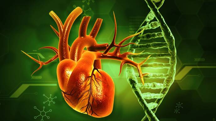 ReachMD Healthcare Image