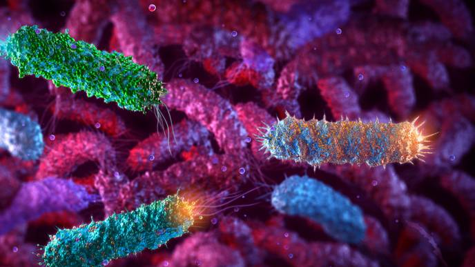 ReachMD Healthcare Image