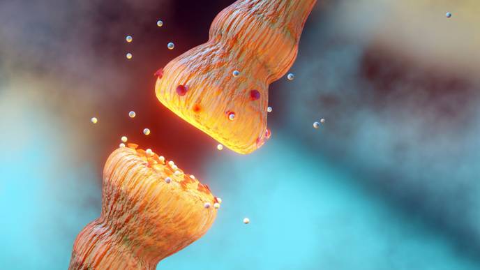 ReachMD Healthcare Image