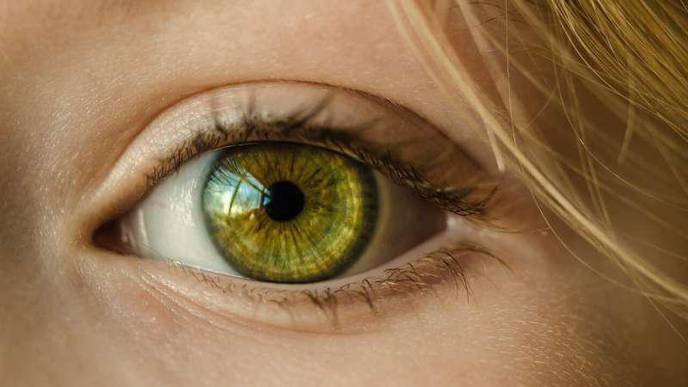 Increased Screen Time During the Pandemic Sends More People to the Eye Doctor