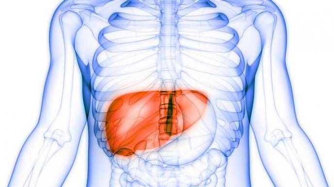 A First-in-Human Clinical Trial Shows Microbubbles Augments Radiation in Liver Cancer Patients