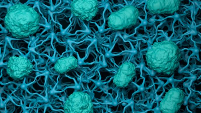 ReachMD Healthcare Image