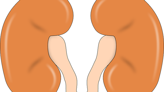 Stopping RAS Inhibitors Tied to Worse Outcomes in Patients with Chronic Kidney Disease