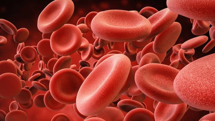 ReachMD Healthcare Image