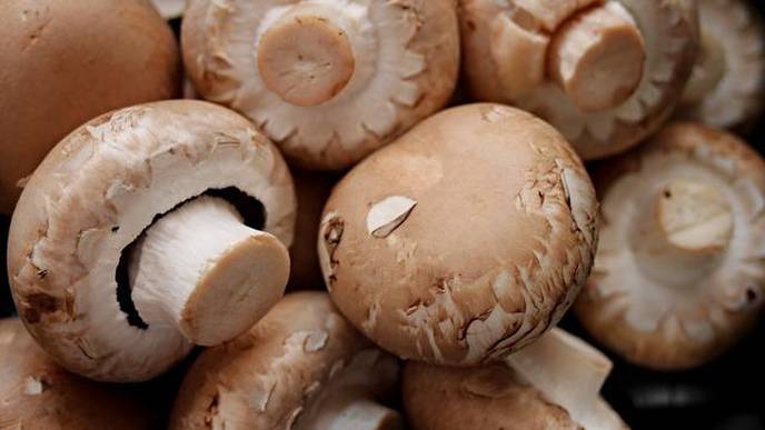 Mushroom Consumption May Reduce Risk of Cancer