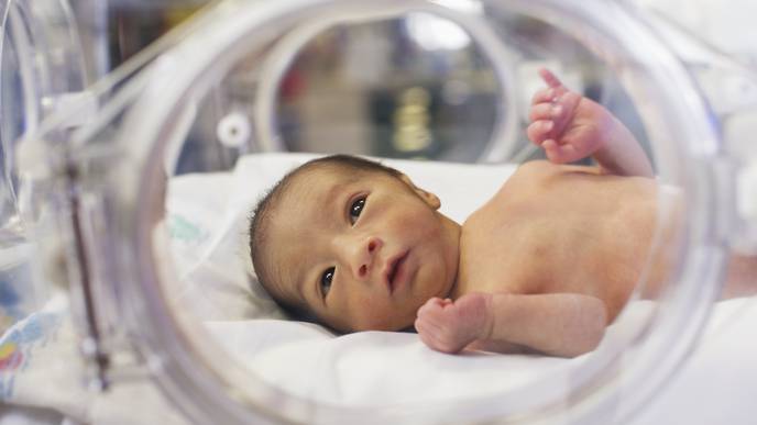 Preemies’ Immune Systems Develop at a Rate Similar to Full-Term Infants