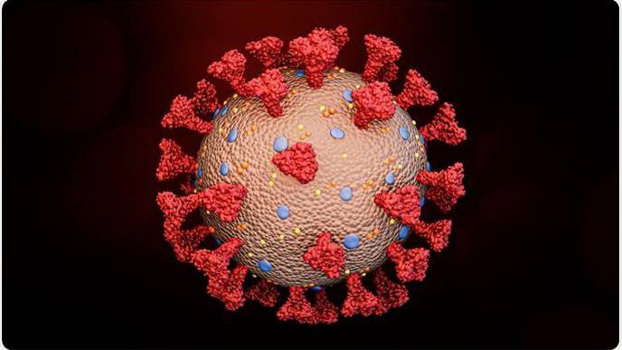 What Are Spike Proteins?