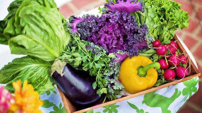 Effects of Antioxidant Rich Indo-Mediterranean Foods on Pre-Heart Failure