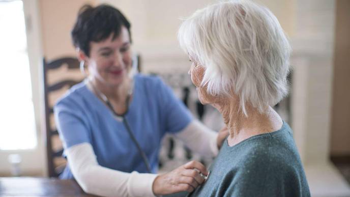 FSU Researchers Find Small Mutation Disrupts Protein Network, Causing Heart Disease