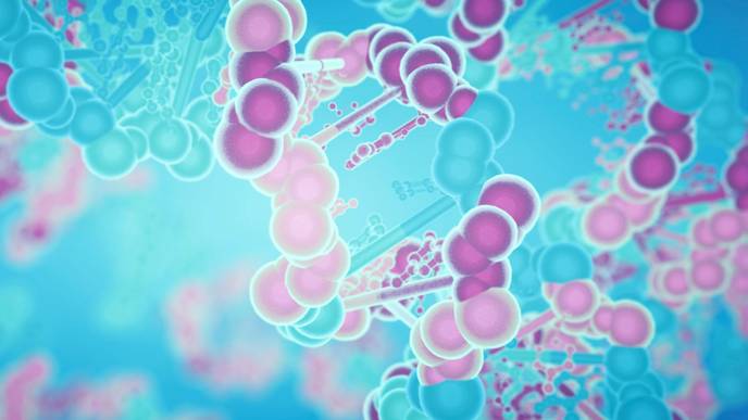 ReachMD Healthcare Image