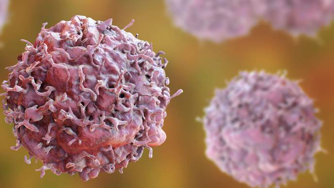 ReachMD Healthcare Image