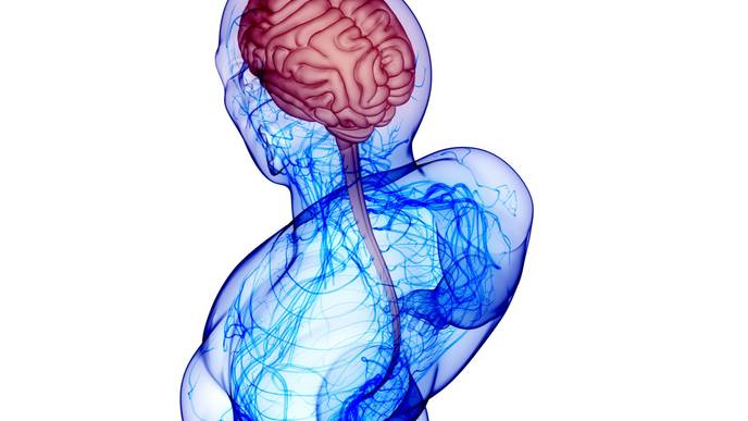 ReachMD Healthcare Image