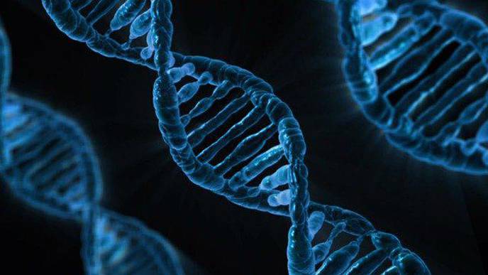 Do People Aged 105 & Over Live Longer Because They Have More Efficient DNA Repair?