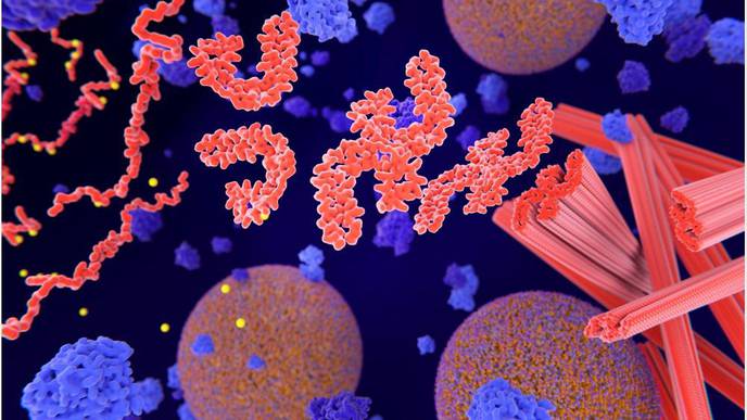 Novel Biomarker Effectively Detects Alzheimer's Disease Before Symptoms Emerge