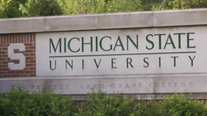MSU Scientists Discover Possible Genetic Target for Treating Endometriosis