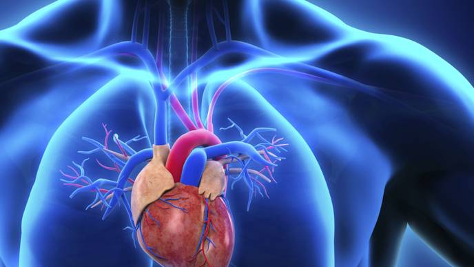 ReachMD Healthcare Image