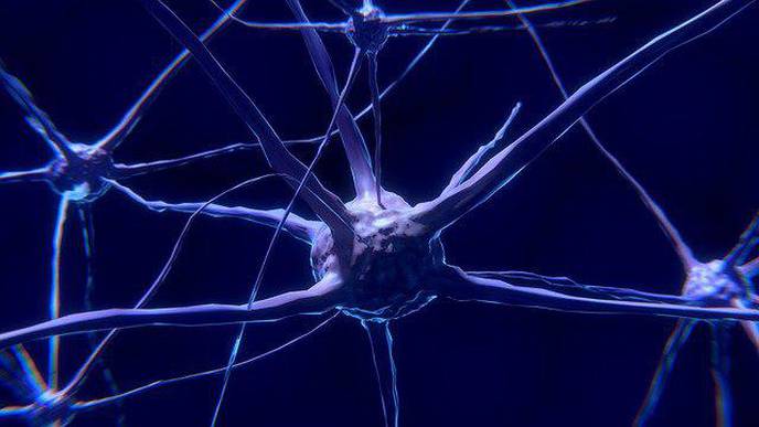 1 in 5 Brain Cancers Fueled by Overactive Mitochondria