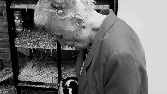 Researchers Identify Proteins That Predict Future Dementia, Alzheimer's Risk