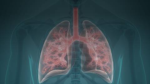 Keeping Pace in Lung Cancer: Guidelines and the Future Direction of Immunotherapy in NSCLC