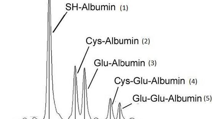 Cysteinylated Albumin New Early Diagnostic Marker for Diabetic Kidney Disease