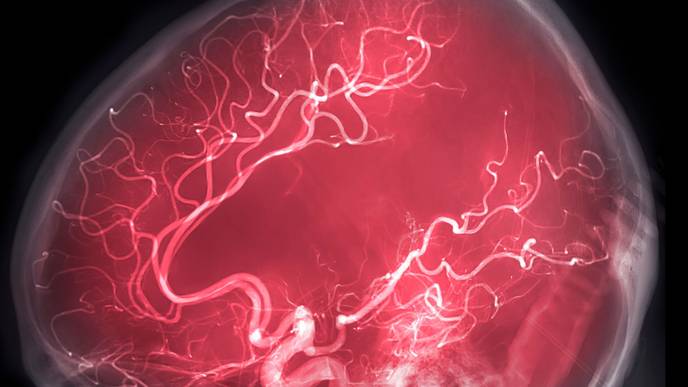 ReachMD Healthcare Image