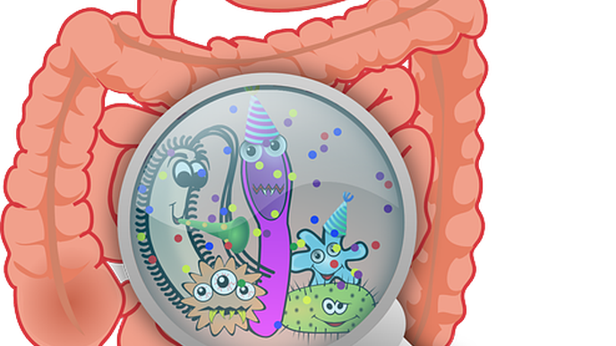 Antiviral Defense from the Gut