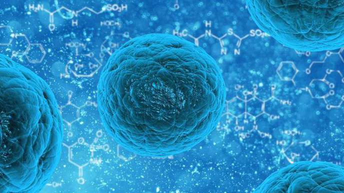 Old Human Cells Rejuvenated with Stem Cell Technology