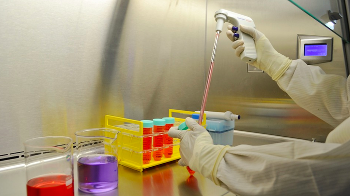 New Insights into the Mechanisms of Rett Syndrome