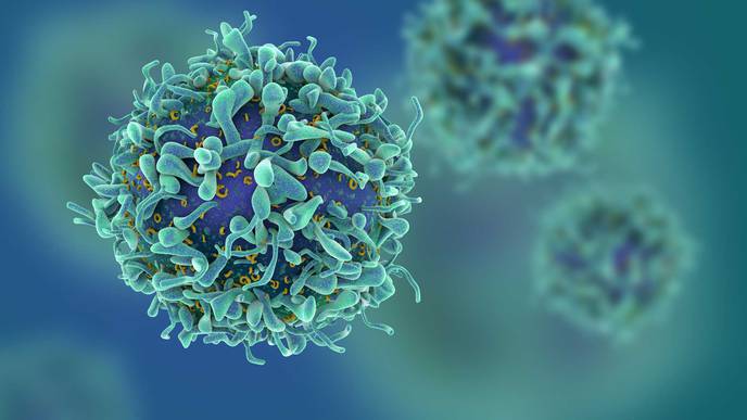 New CAR-T Cells Target Leukemia Cells Fast, More Effectively, & Repeatedly