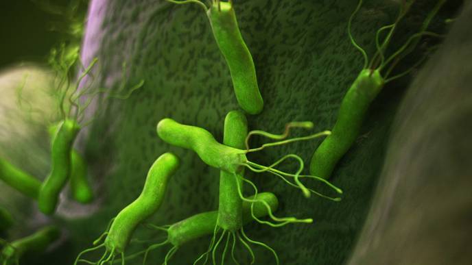 ReachMD Healthcare Image