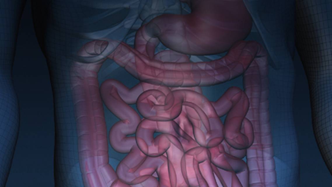 ReachMD Healthcare Image