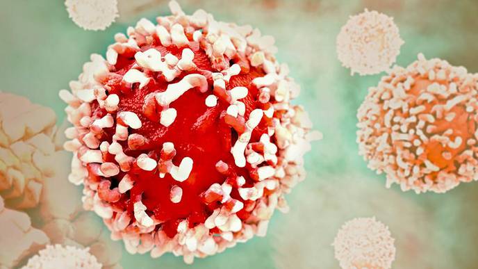 Blocking a ‘Jamming Signal’ Can Unleash Immune System to Fight Tumors