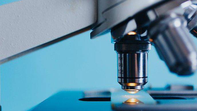 SCYNEXIS to Present Two Ibrexafungerp (Brexafemme) Posters at the 2021 American College of Obstetricians and Gynecologists (ACOG) Annual Clinical and Scientific Meeting