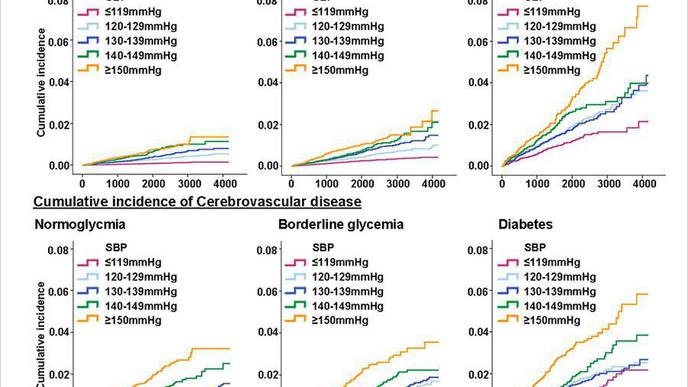 Systolic Blood Pressure Above 120 MMHg Increases Rate of Cardiovascular Disease