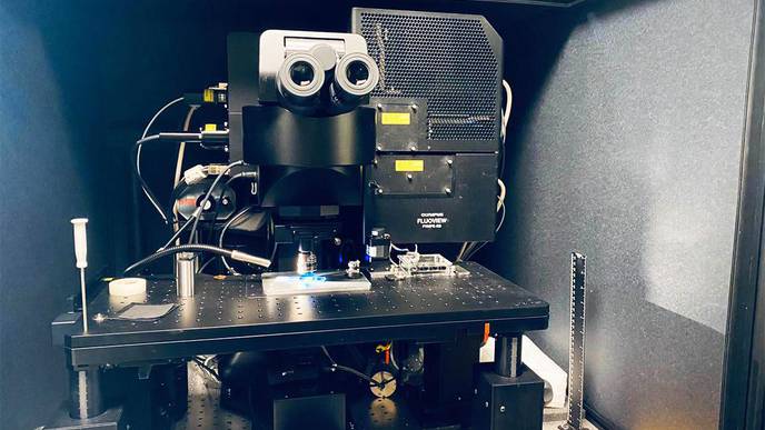 Unique “Home Built” Device Provides Fast Disease Analysis in Kidneys Affected by Diabetes