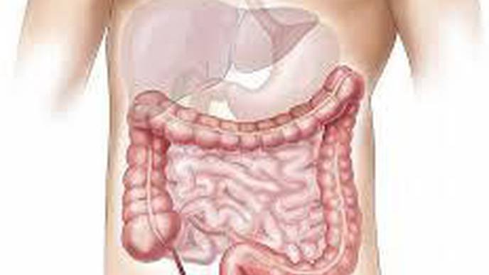 Tofacitinib Use In Ulcerative Colitis May Not Raise Cardiac Risk, Finds Study