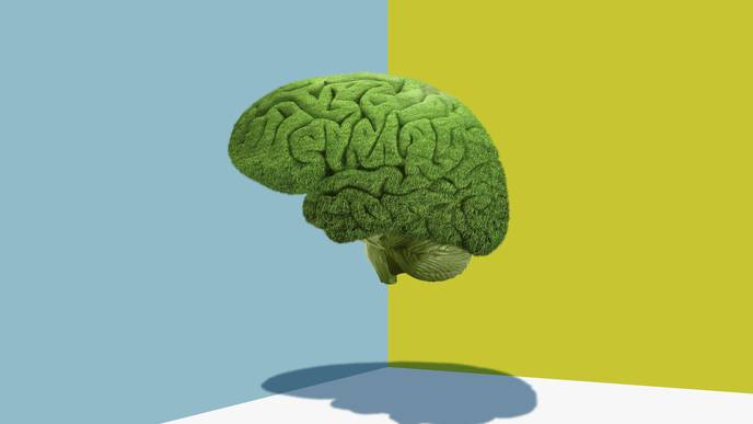 Confused About COVID Brain Fog? Doctors Have Questions, Too