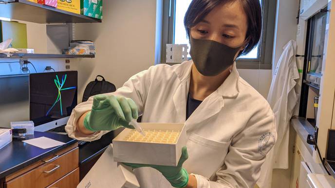 Scientists Trace Severe COVID-19 to Faulty Genes & an Autoimmune Condition