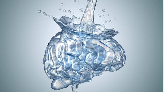 CereVasc Lands $44M for New Medical Device to Drain “Water on the Brain”