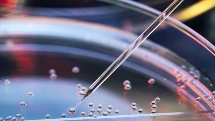 Stem Cell Therapy Injuries More Widespread Than We Knew